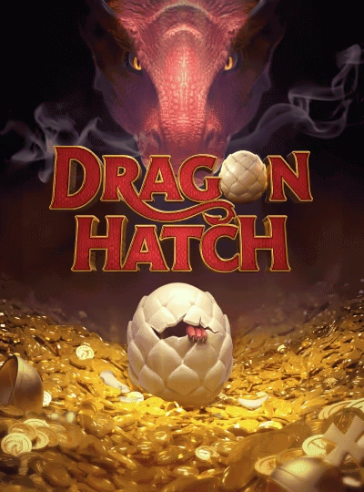 my89 my89